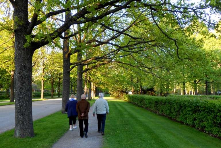 Kolme vanhempaa ihmistä kävelee vehreällä asuinalueella puiden katveessa.